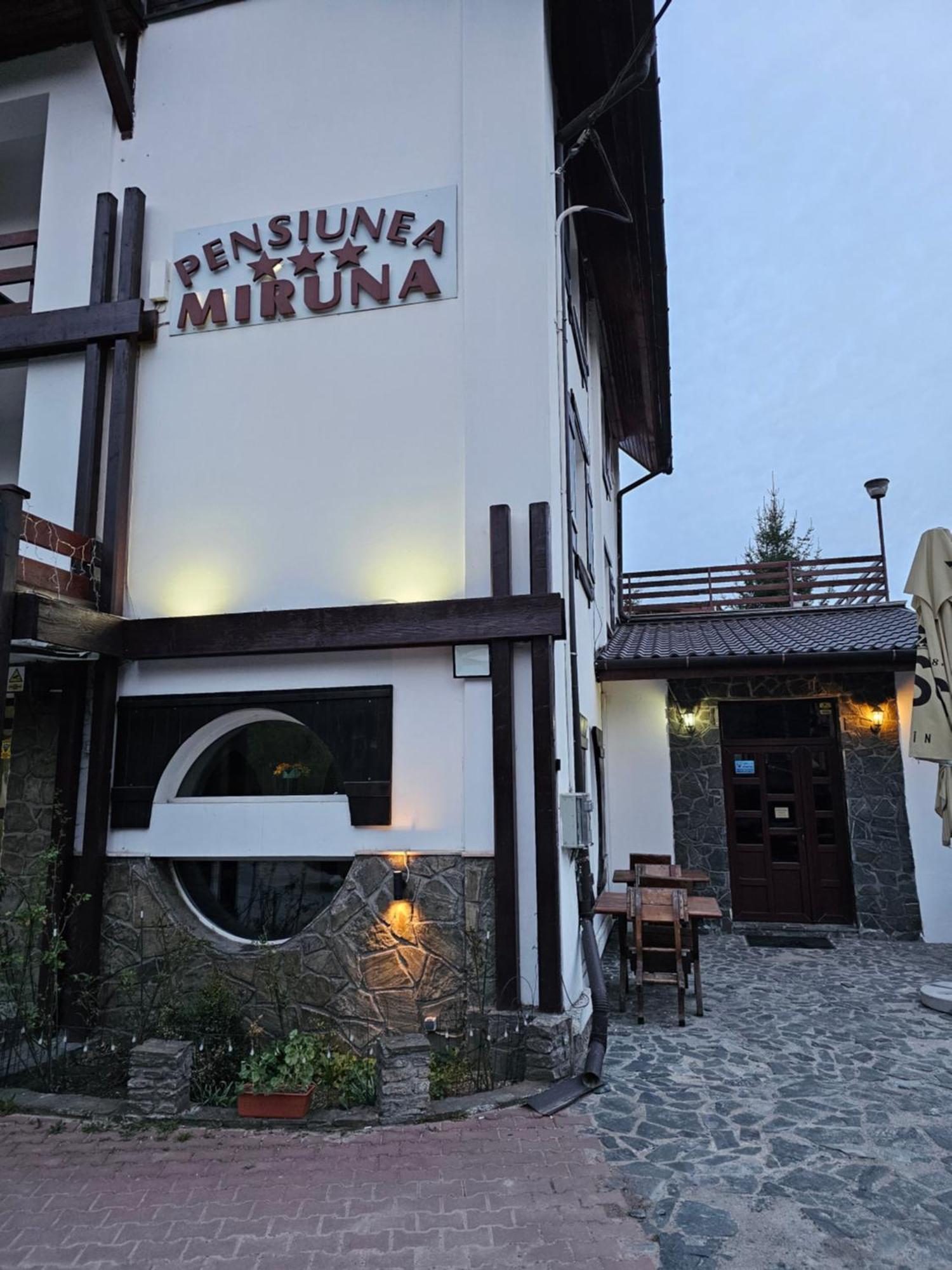 Pensiunea Miruna 3*